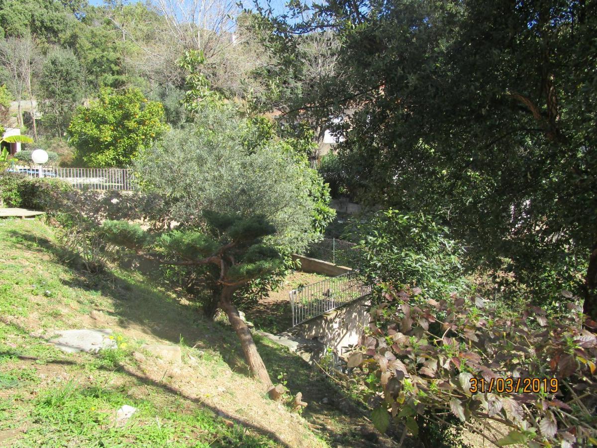 Bed and Breakfast Chiapatella Folelli Esterno foto